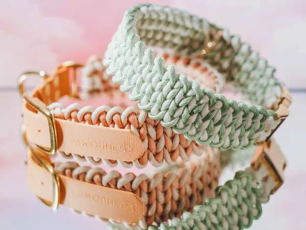 Accessoires pour chiens et chats