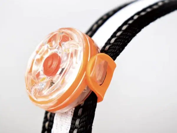 Lampe LED pour chien