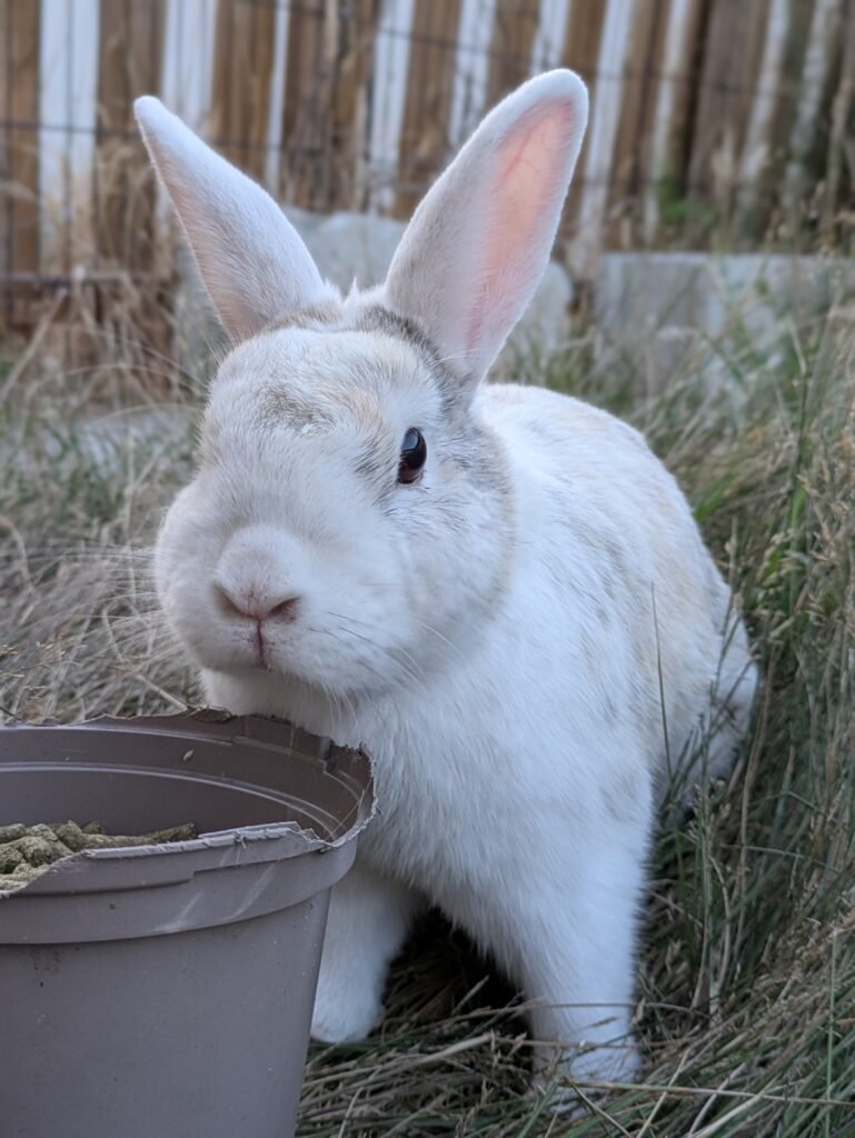 PXL_20250803_193201308.PORTRAIT