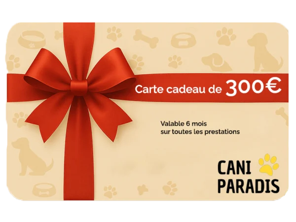 Carte cadeau 300€