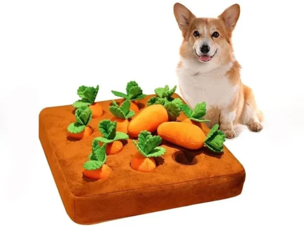 Tapis de fouille - Cueillette de Carottes/Fraises