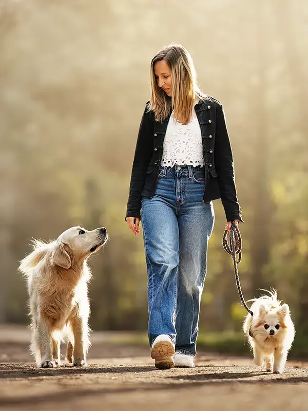 Balade en forêt avec deux chiens